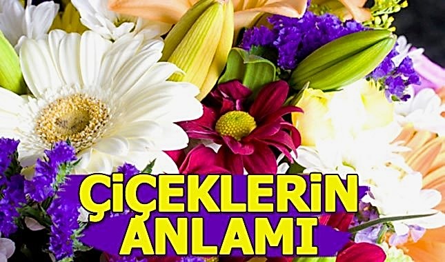 Çiçeklerin Anlamları