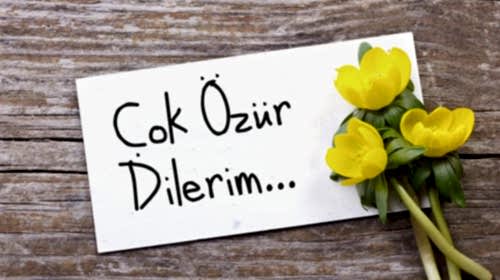 ÖZÜR DİLERİM
