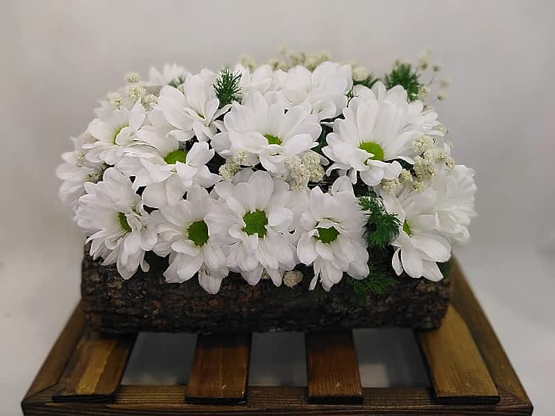 Kütükde Çiçekler